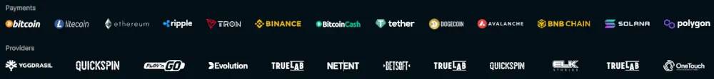 Bitstake Casino Payments and Providers